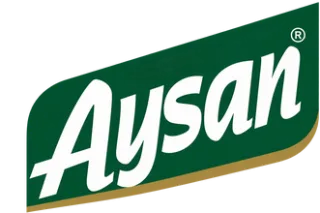 Aysan